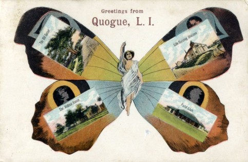 Quogue Butterfly Postcard